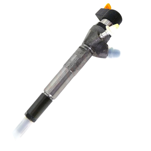 166006212R Diesel injector for NISSAN,RENAULT